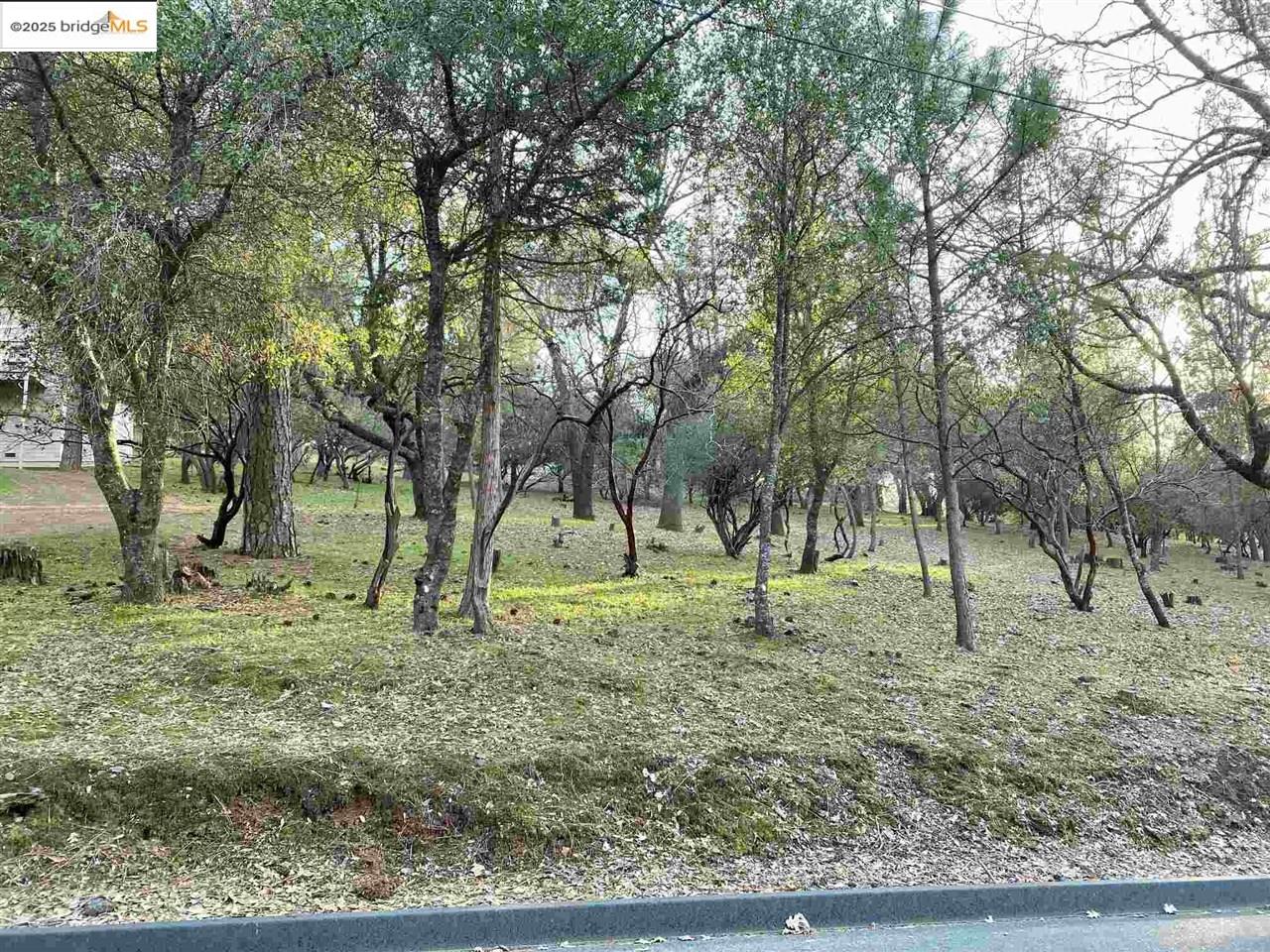 13177 Jackson Mill Drive, Groveland, CA, 95321