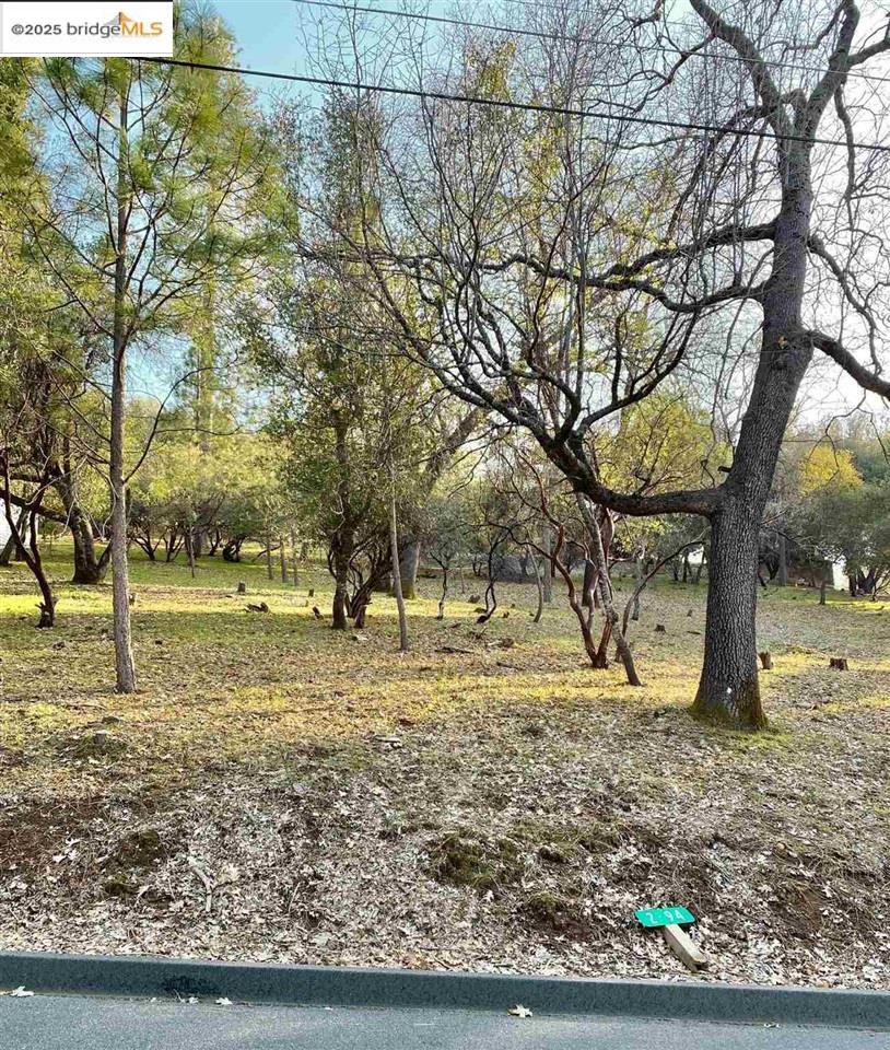 13177 Jackson Mill Drive, Groveland, CA, 95321