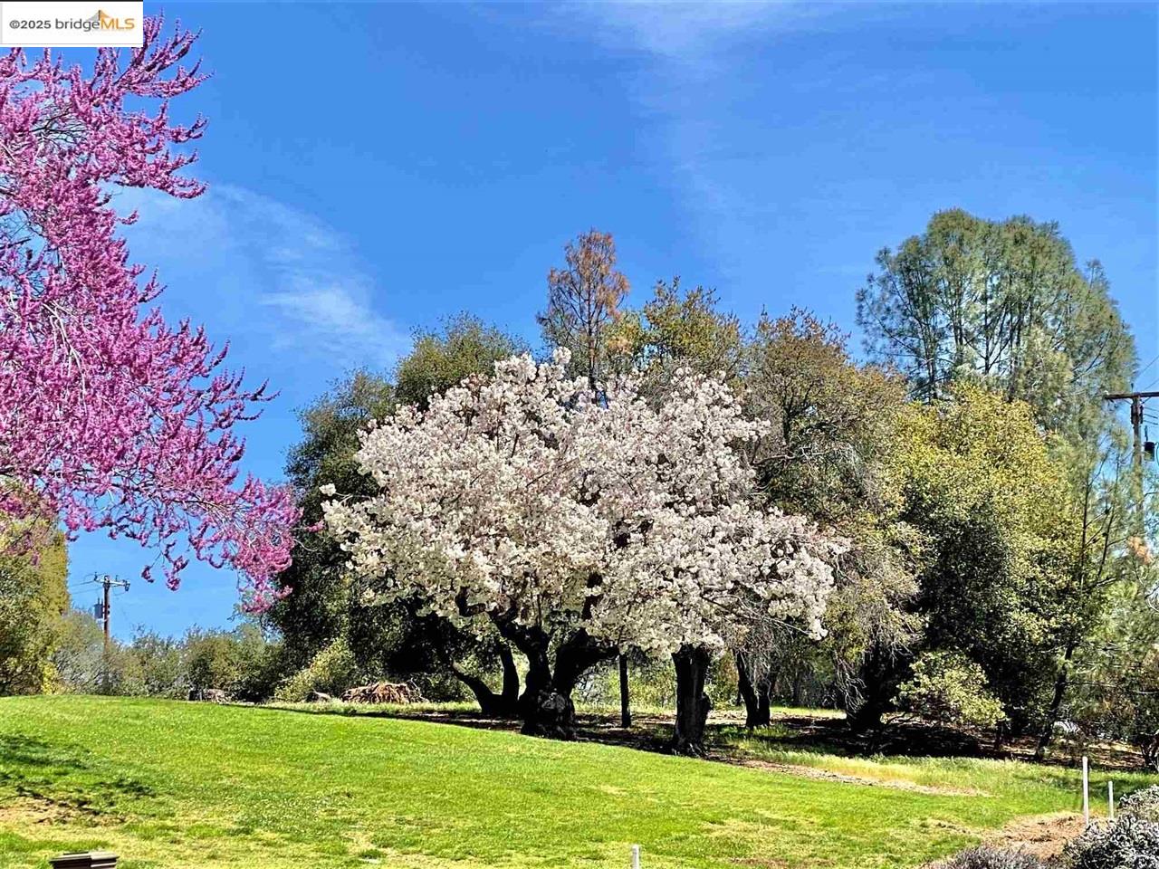 13177 Jackson Mill Drive, Groveland, CA, 95321