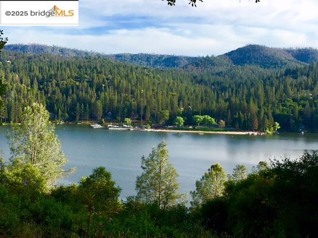 13177 Jackson Mill Drive, Groveland, CA, 95321