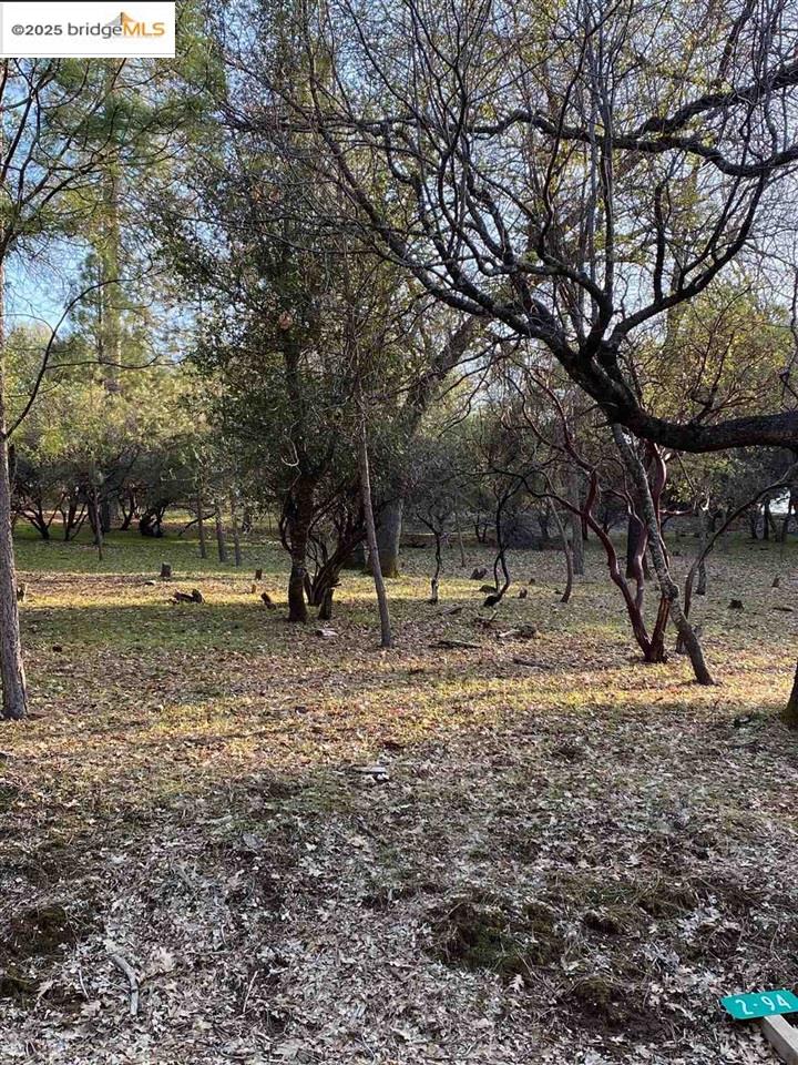 13177 Jackson Mill Drive, Groveland, CA, 95321