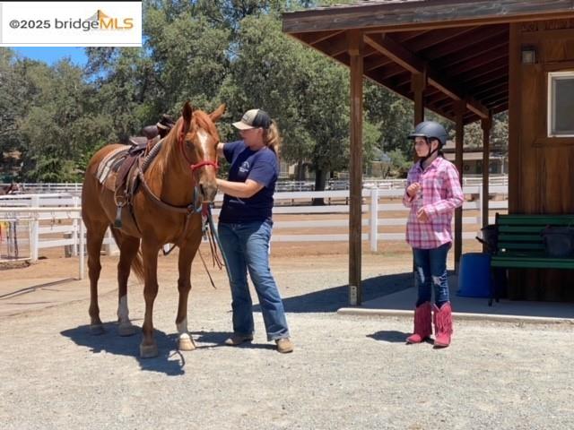 13177 Jackson Mill Drive, Groveland, CA, 95321