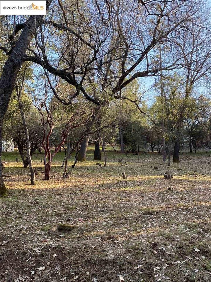 13177 Jackson Mill Drive, Groveland, CA, 95321