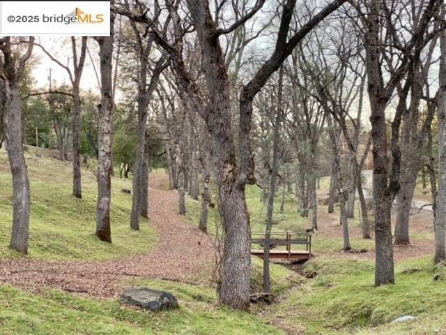 13177 Jackson Mill Drive, Groveland, CA, 95321