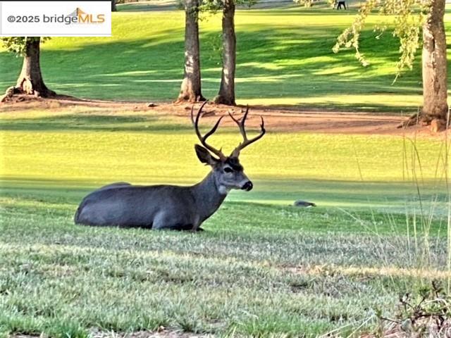 13177 Jackson Mill Drive, Groveland, CA, 95321