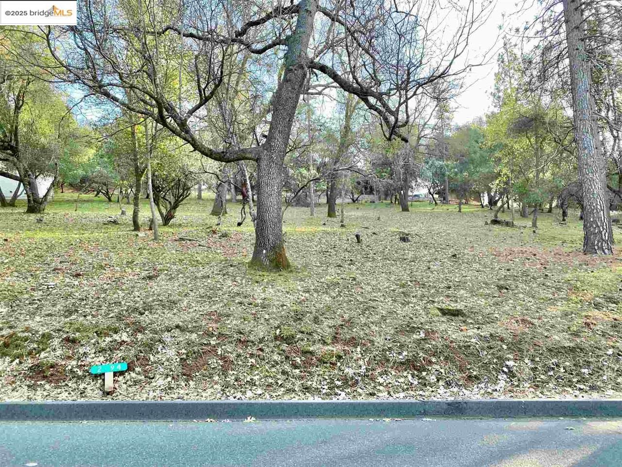 13177 Jackson Mill Drive, Groveland, CA, 95321