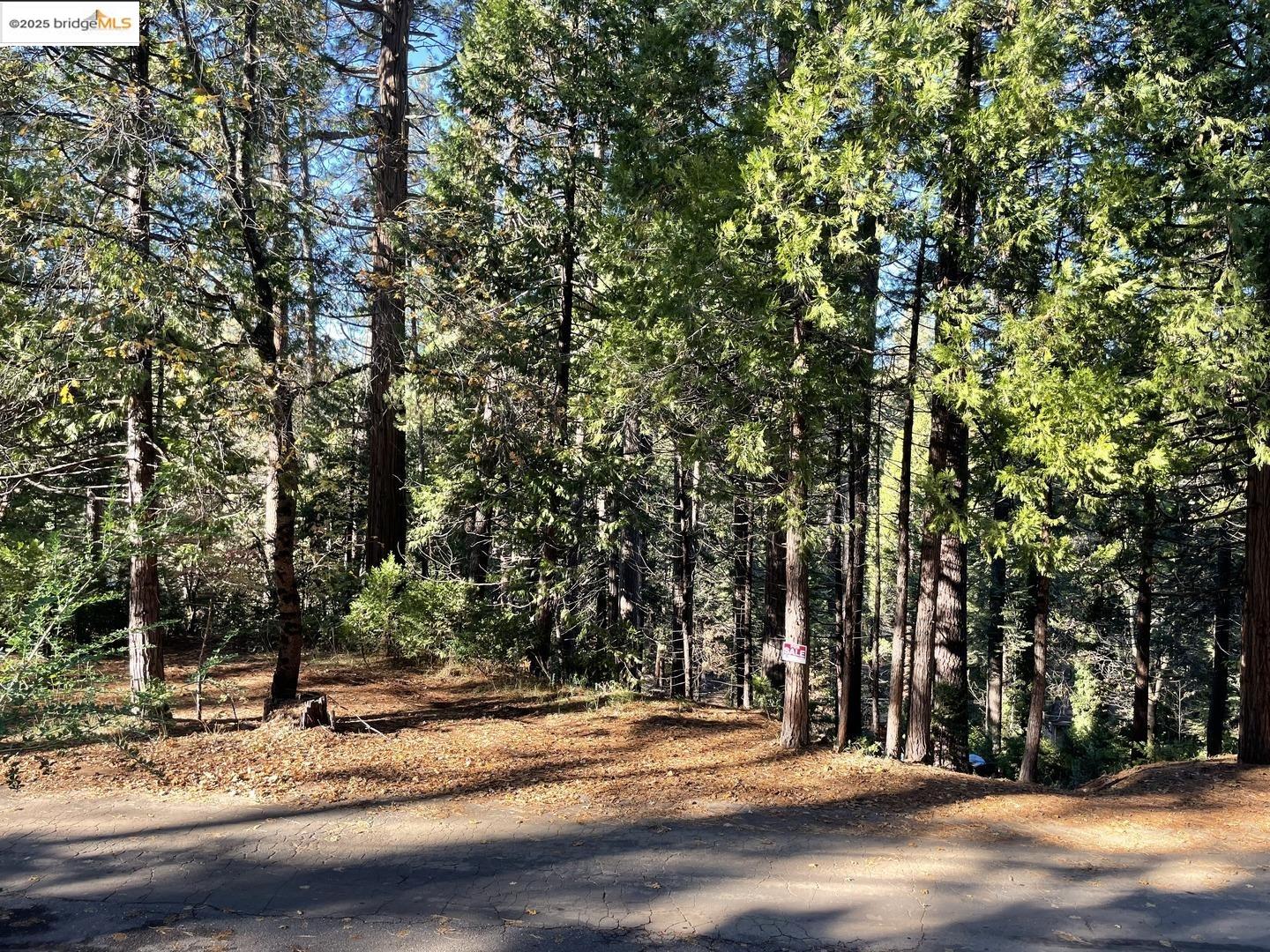 5836 Golden Oaks Rd, Paradise, CA, 95969