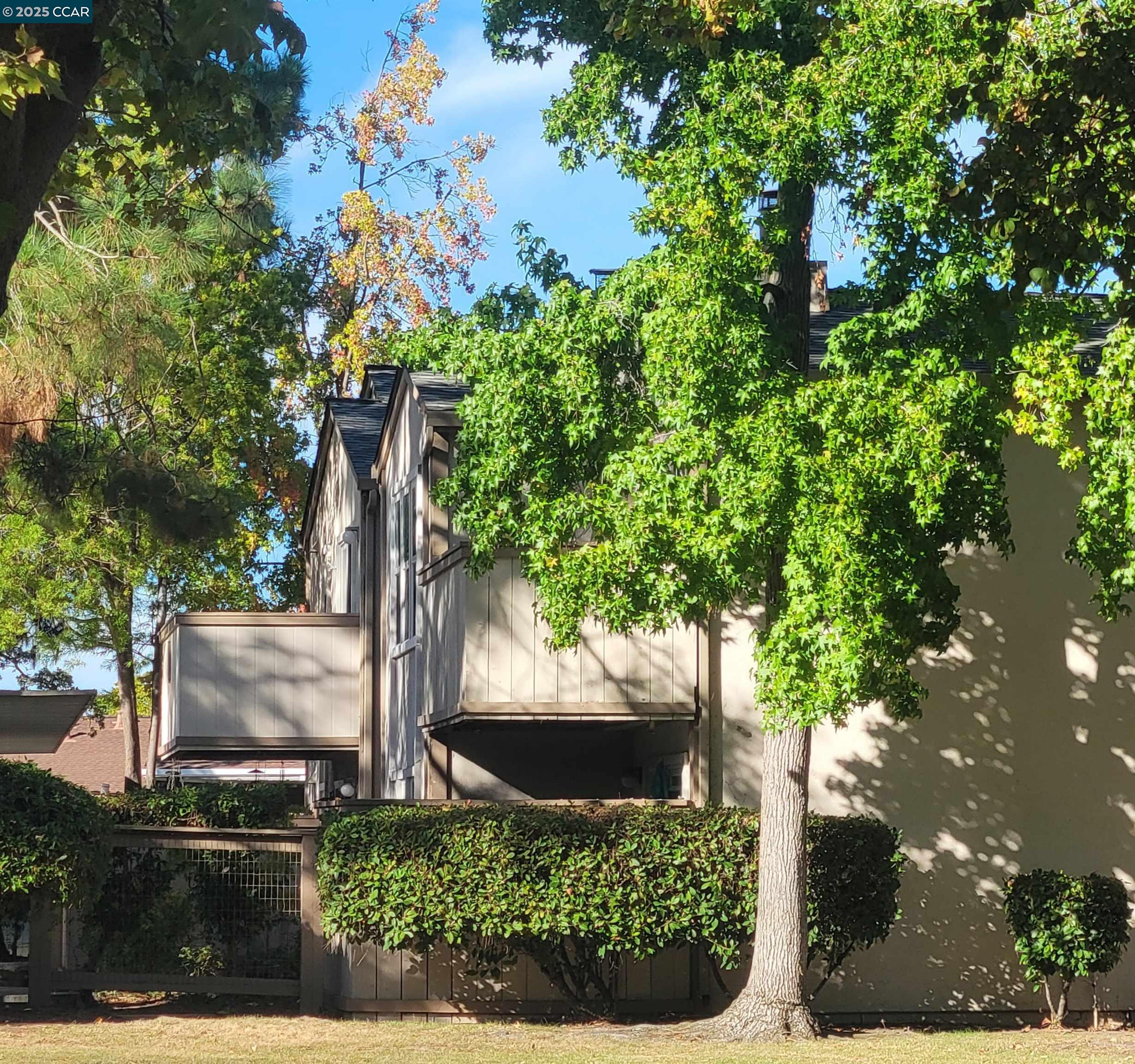 Photo #16: 41118467 Listing: Photo #16