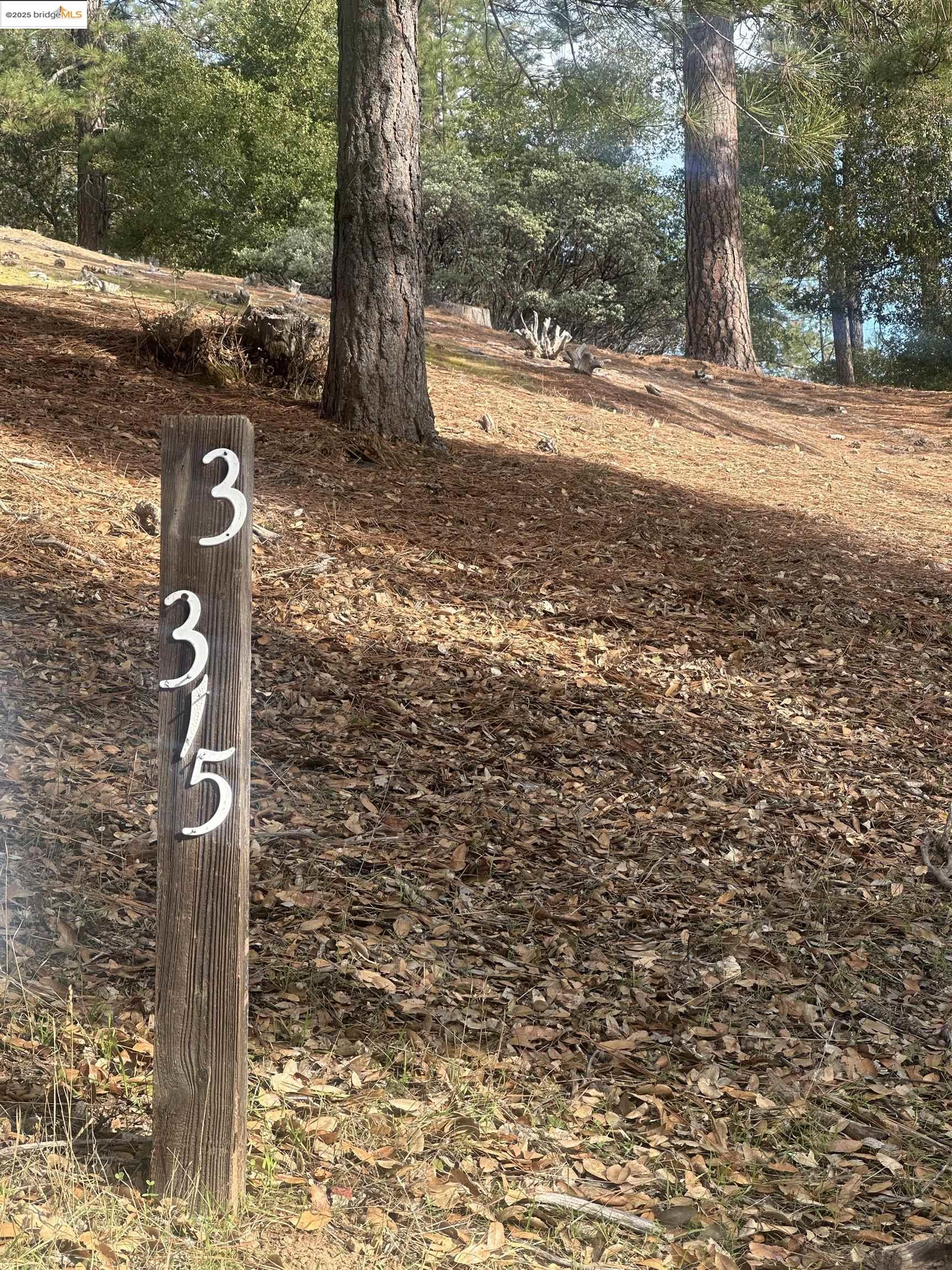 Groveland (A gateway to Yosemite)