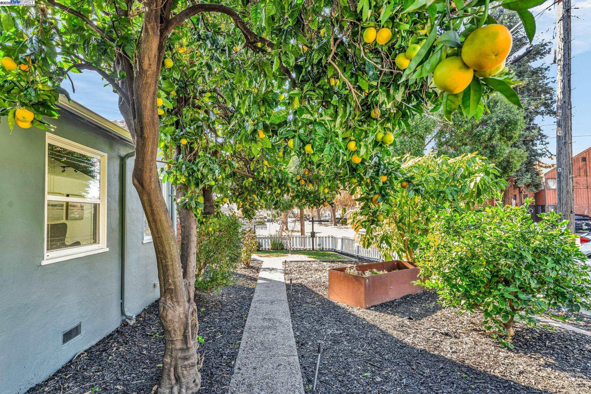 Detail Gallery Image 33 of 38 For 205 Julius Street, San Leandro,  CA 94577 - 2 Beds | 1 Baths