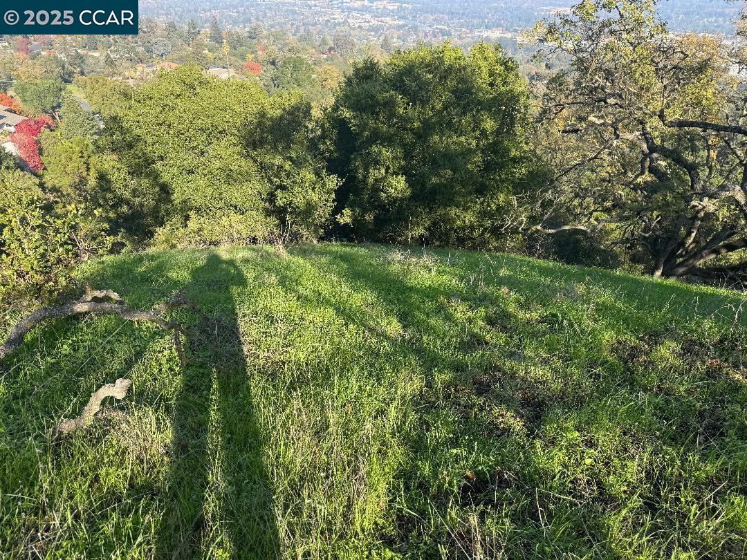 43 Cuesta way, Walnut Creek CA 94597 — photo 20