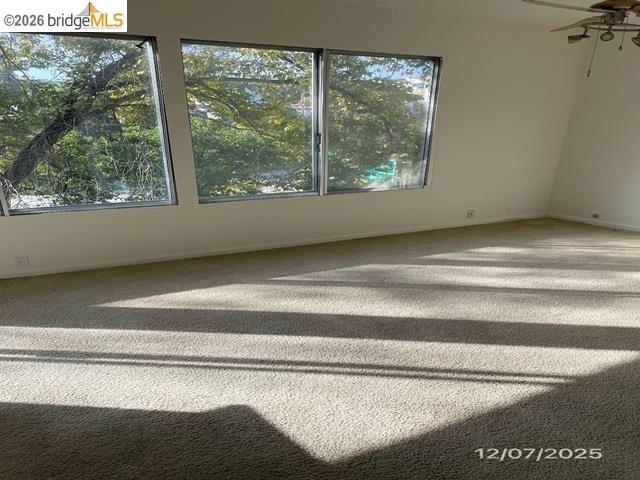 Photo #4: 41118764 Listing: Photo #4