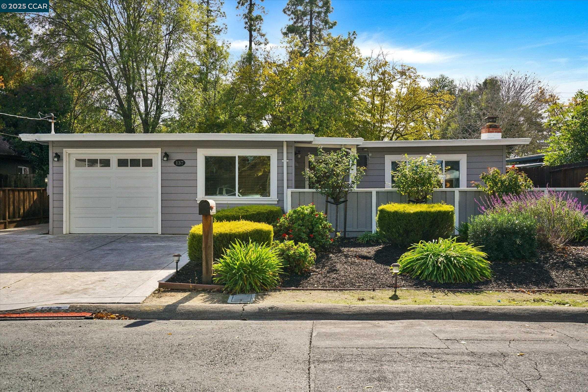 Front Image Thumbnail for CC41118851