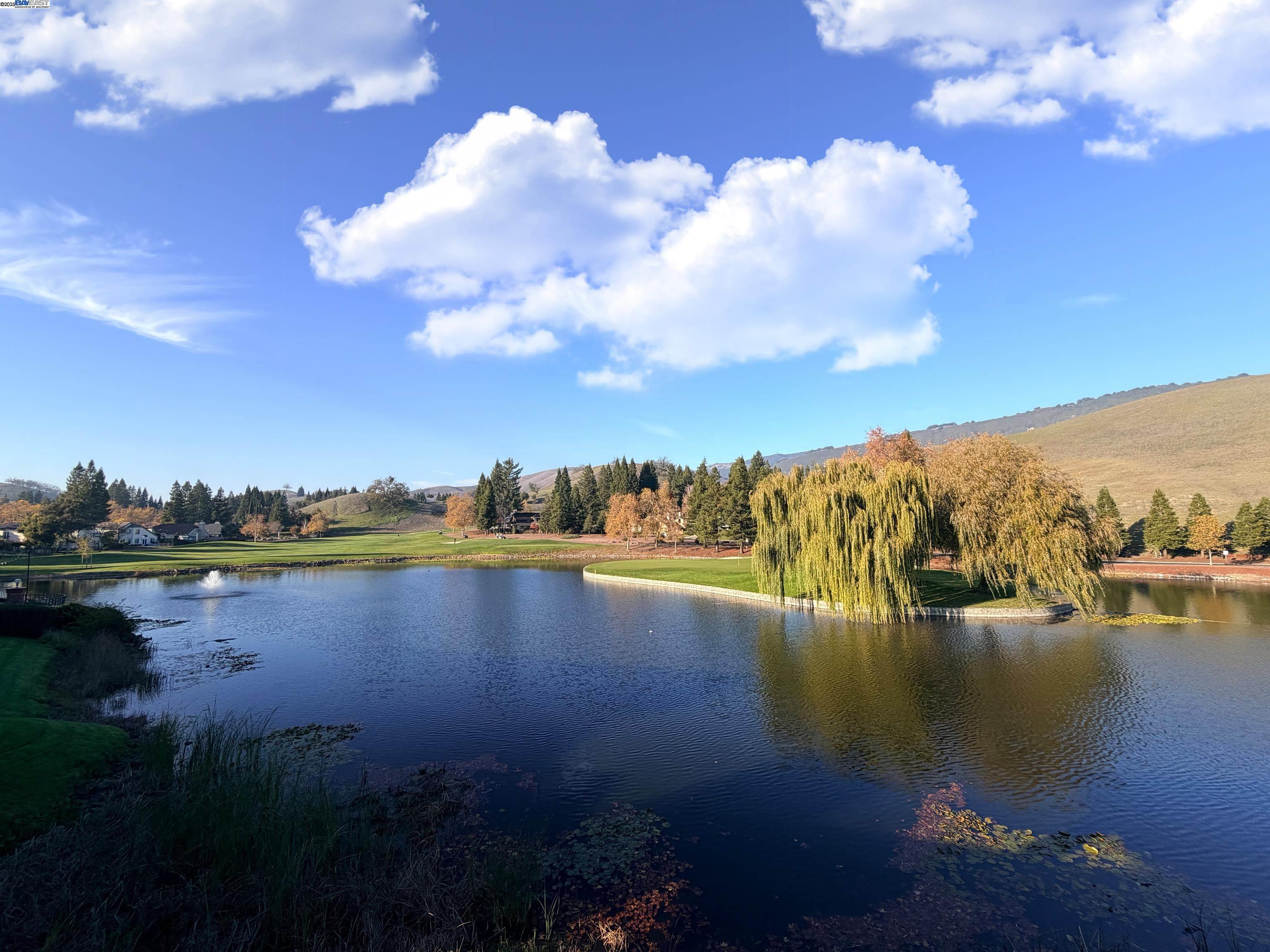 4478 Deer Ridge Rd, Danville, CA, 94506