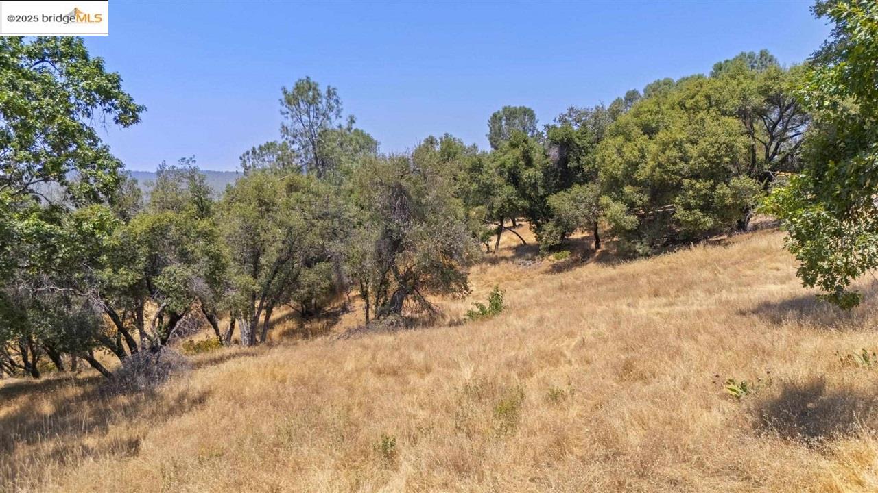 16400 Crestridge Ave, Sonora CA 95370 — photo 10