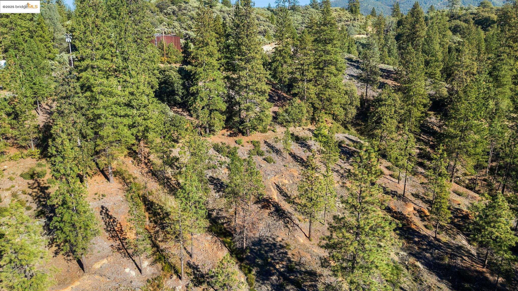 11210 Forest Park Rd, Columbia CA 95310 — photo 14