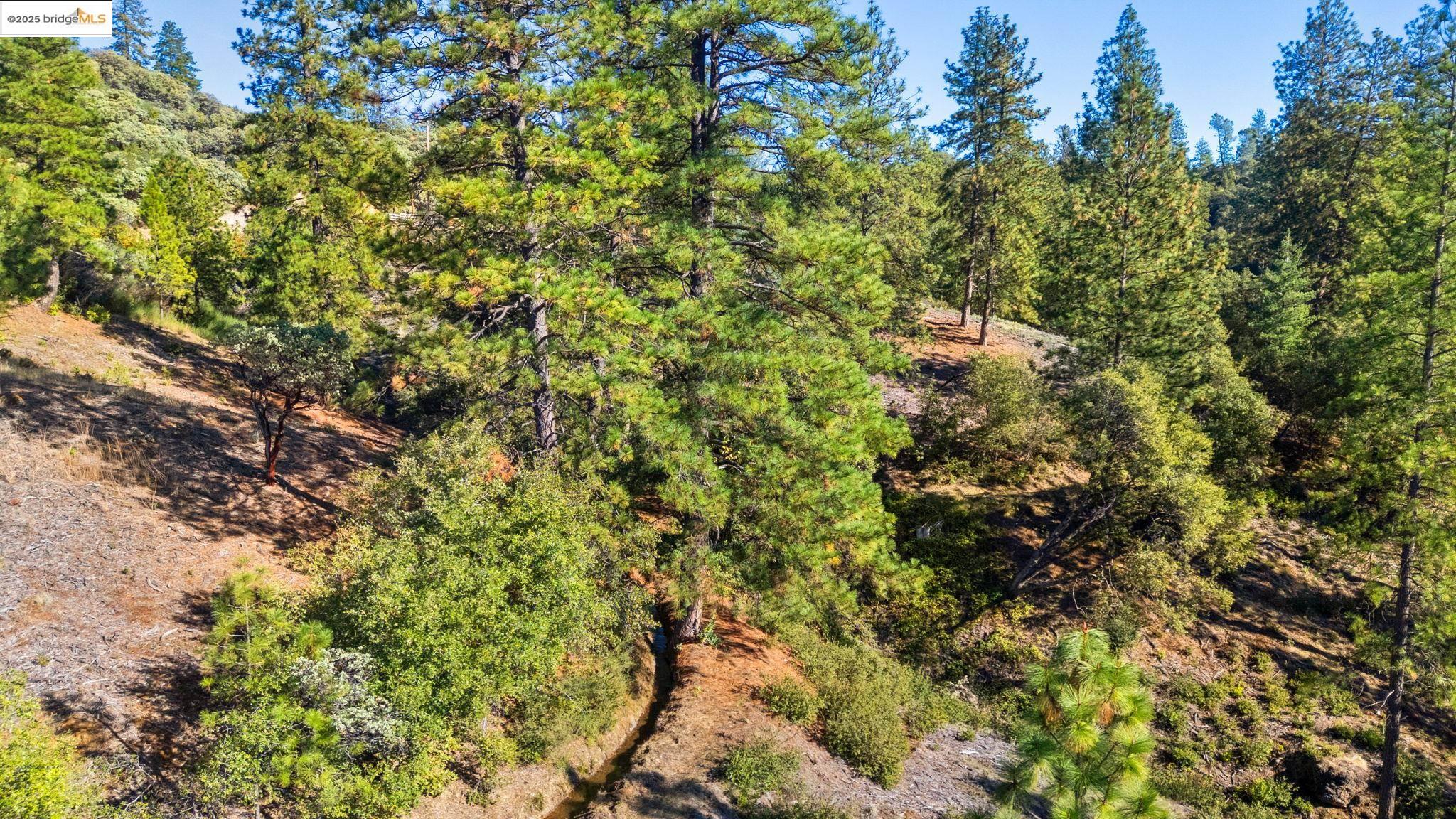 11210 Forest Park Rd, Columbia CA 95310 — photo 15