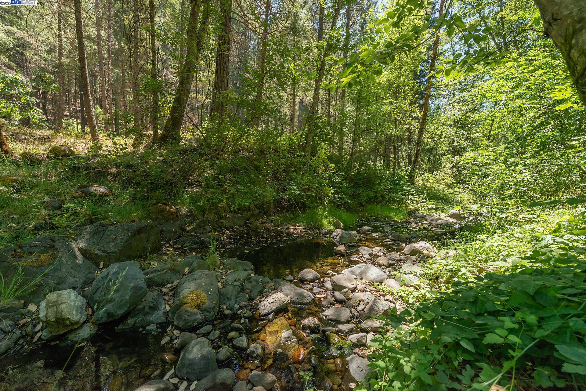 4298 Little Browns Creek Rd, Weaverville CA 96093 — photo 36