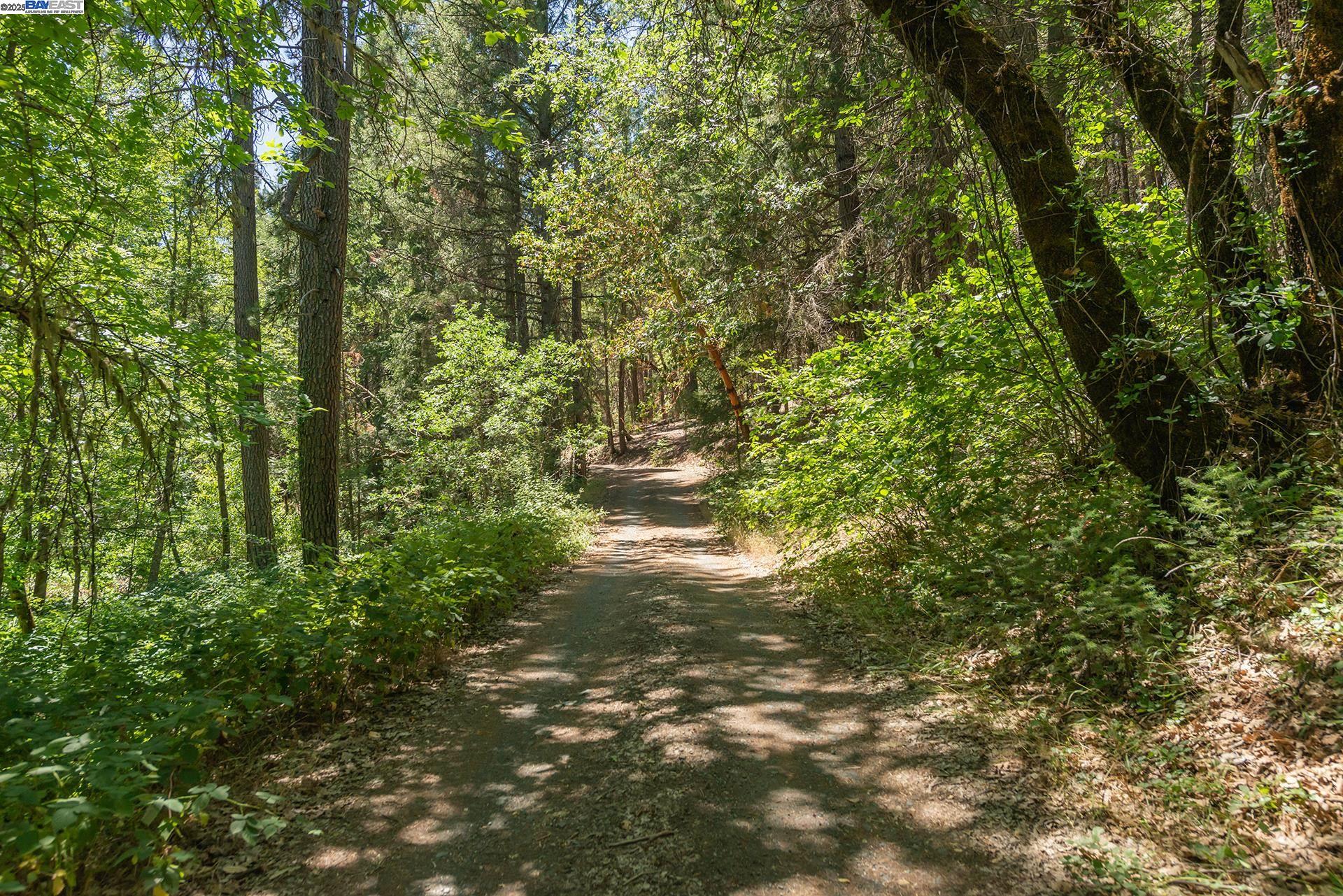 4298 Little Browns Creek Rd, Weaverville CA 96093 — photo 38