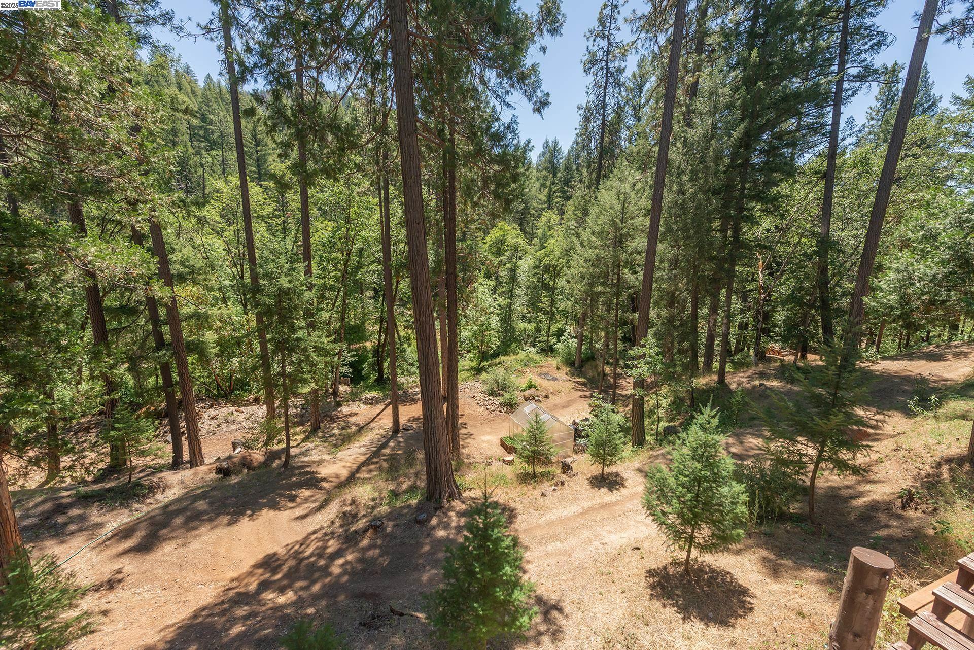 4298 Little Browns Creek Rd, Weaverville CA 96093 — photo 49