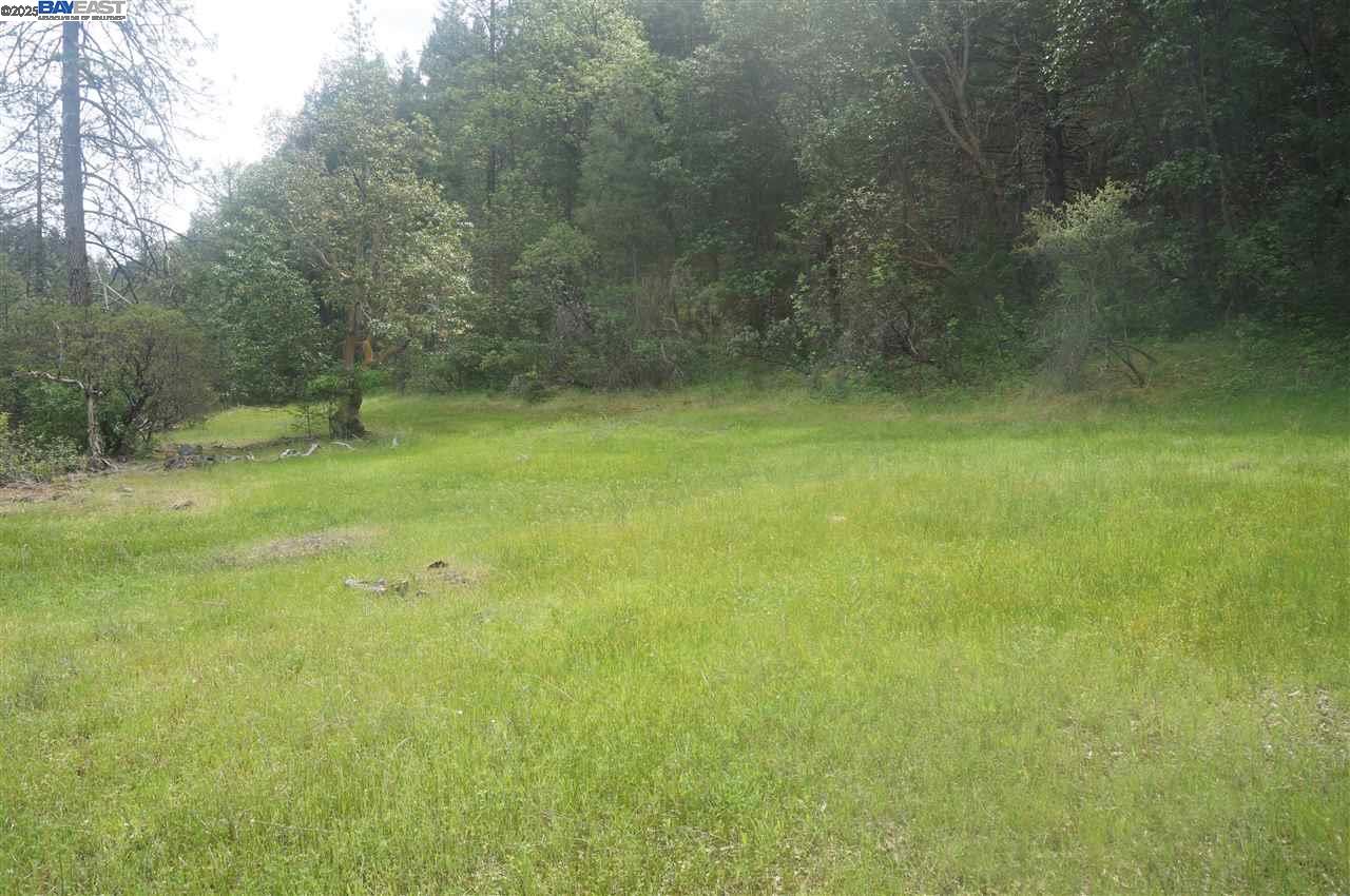 0000 Bartlett Way, Belmont, CA, 94002