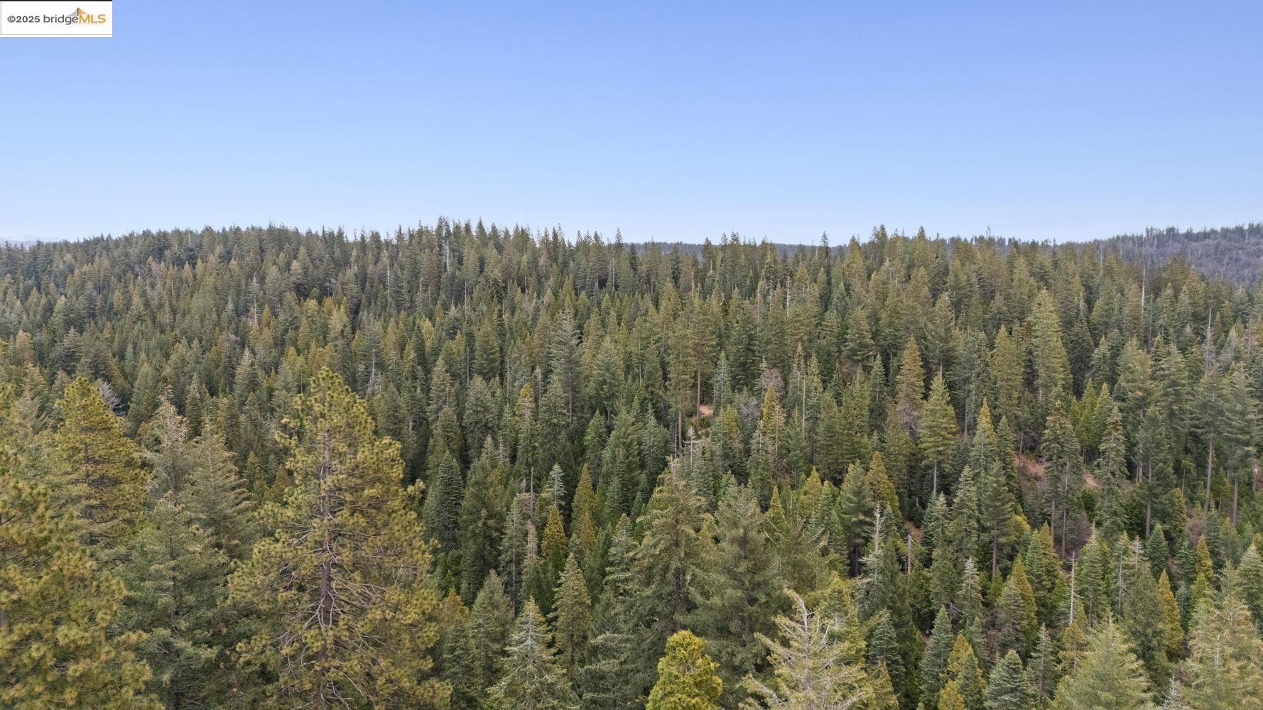 Detail Gallery Image 21 of 38 For 25728 Upper Scenic Dr, Long Barn,  CA 95335 - 1 Beds | 1 Baths