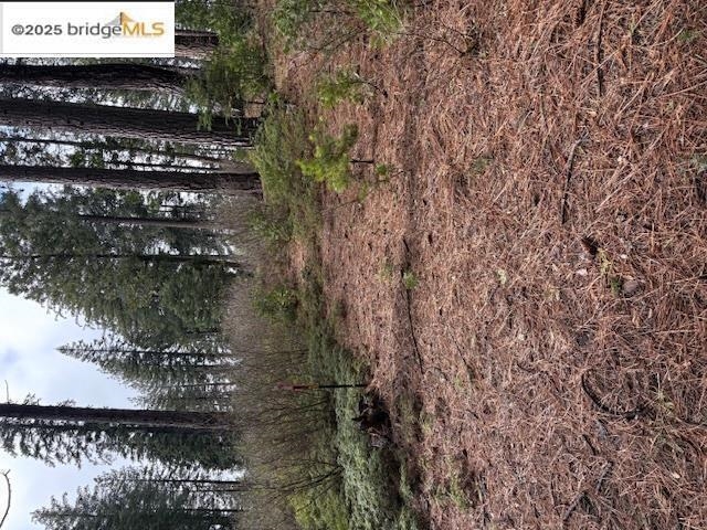 Detail Gallery Image 31 of 38 For 25728 Upper Scenic Dr, Long Barn,  CA 95335 - 1 Beds | 1 Baths