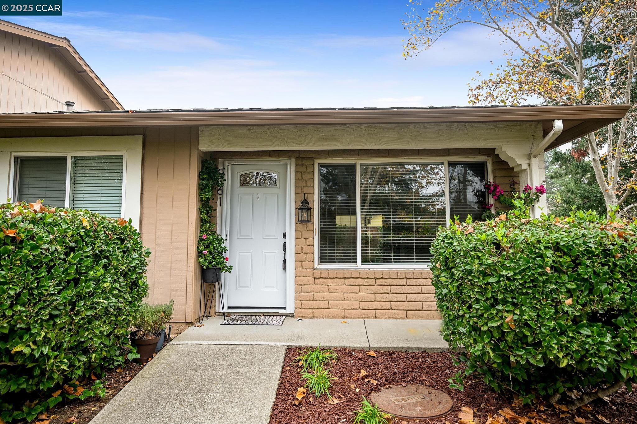 Front Image Thumbnail for CC41119040