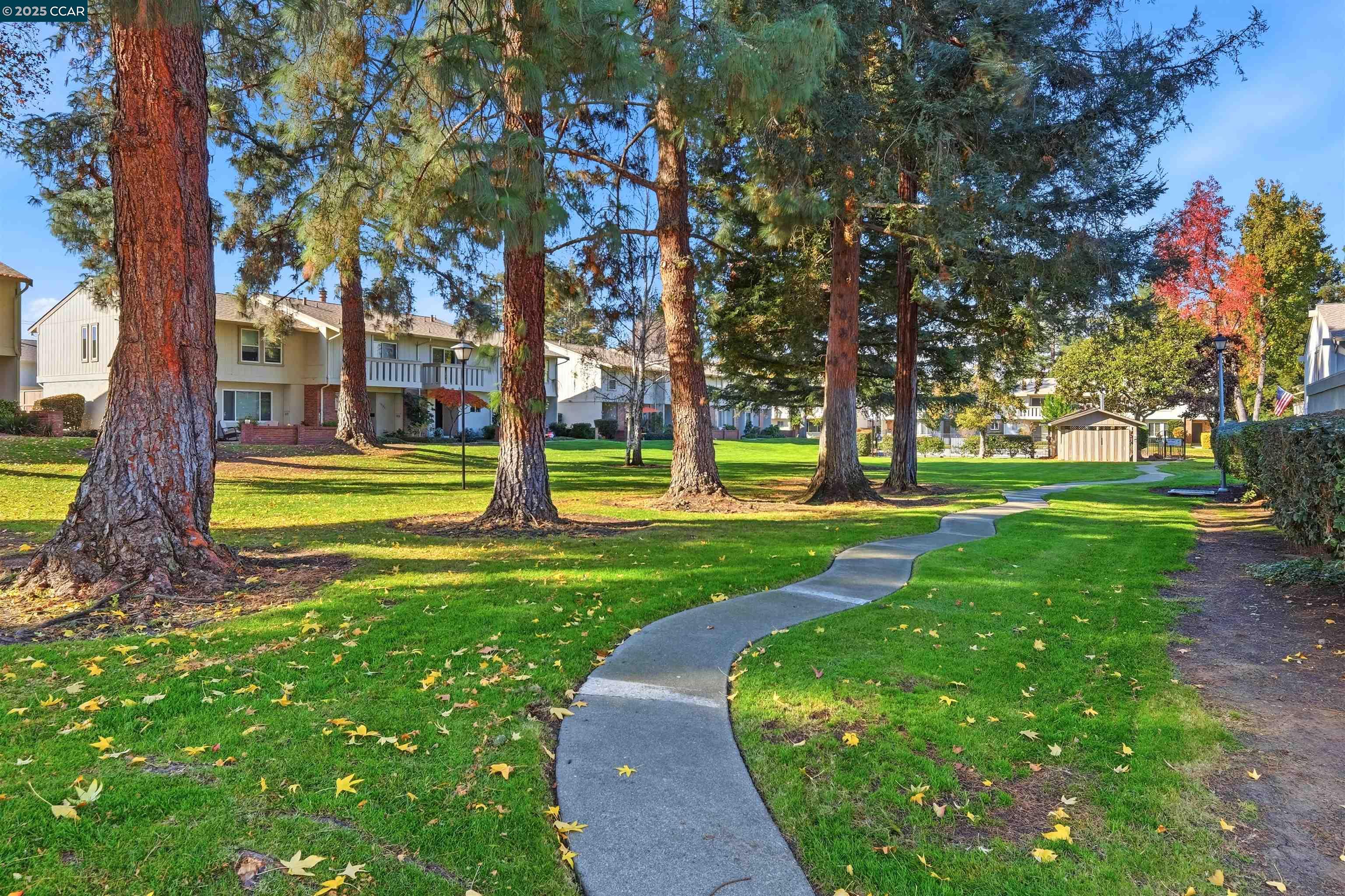 1804 Wildbrook Ct C
