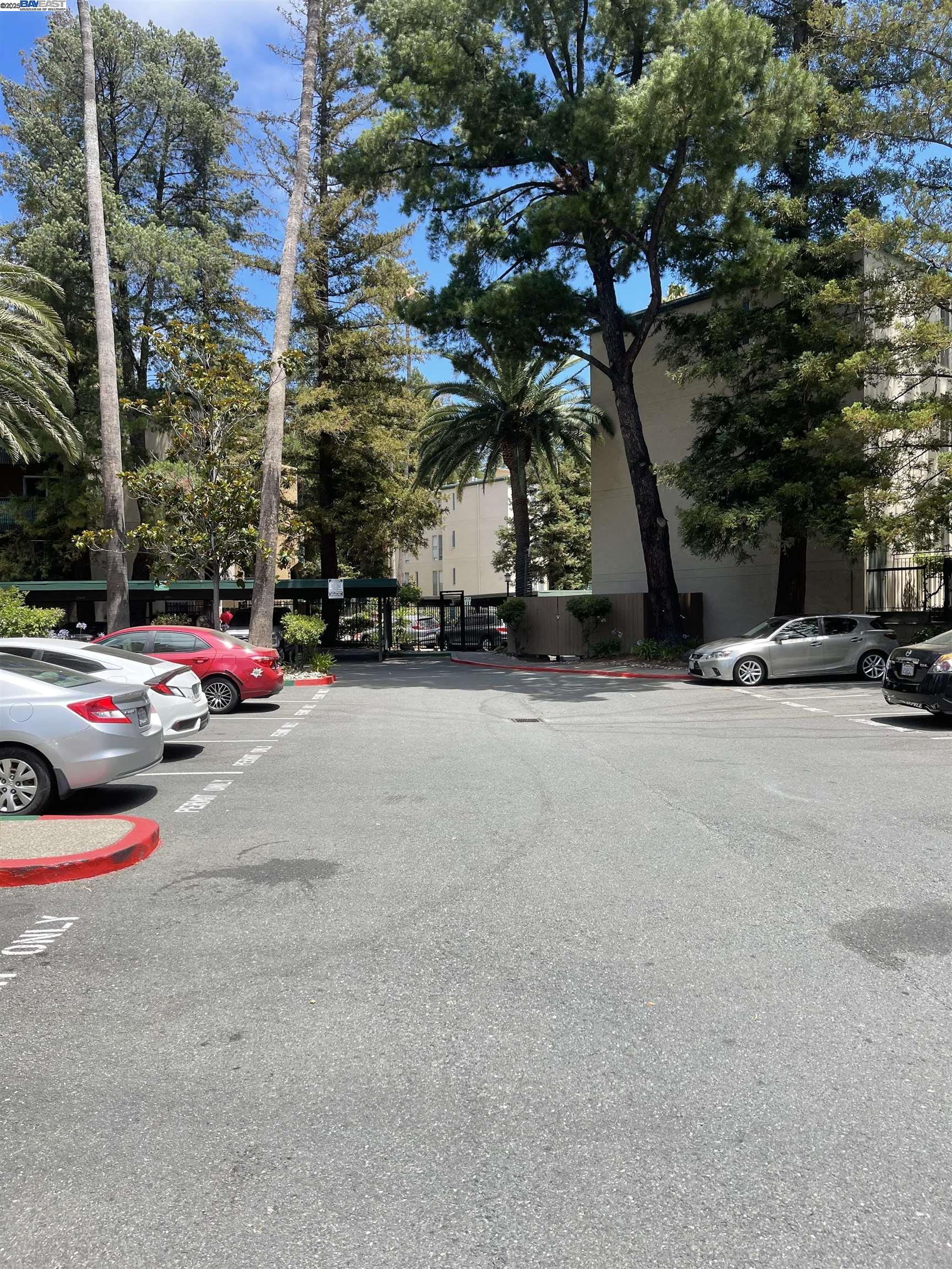 Photo #31: 41119236 Listing: Photo #31