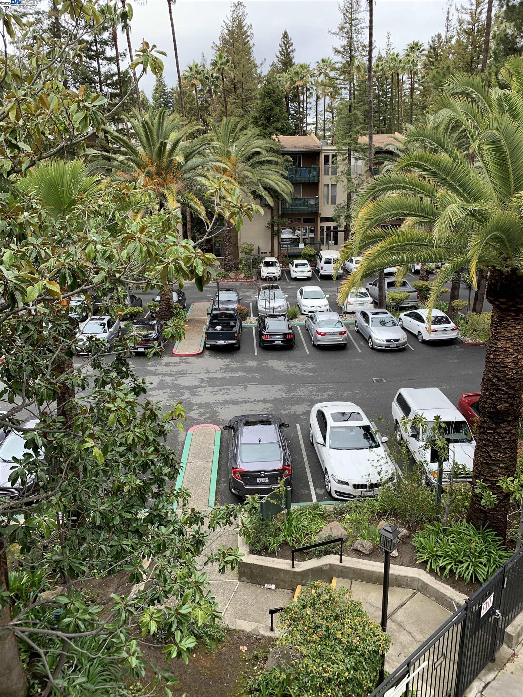 Photo #33: 41119236 Listing: Photo #33