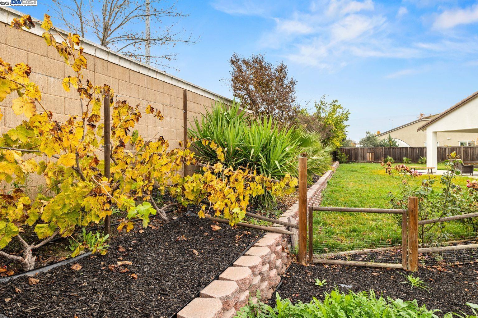 917 Talaria Ct, Oakley CA 94561 — photo 13