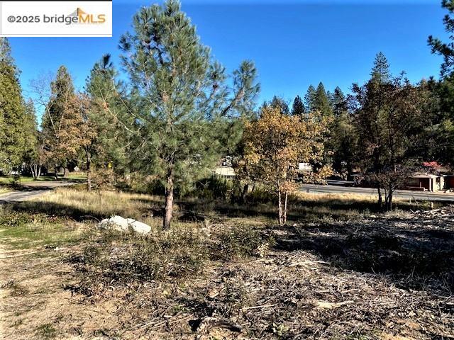 17290 Anderson St & Hwy 120, Big Oak Flat CA 95305 — photo 25