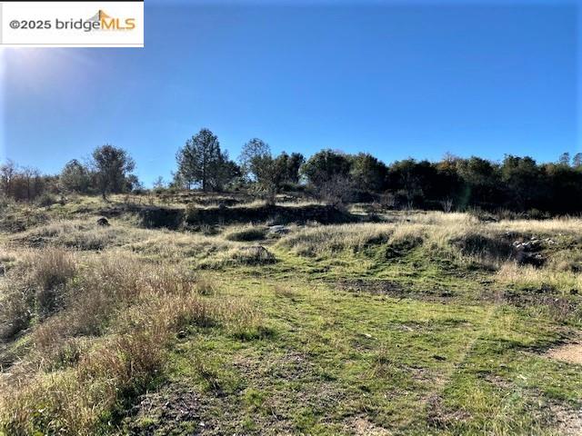17290 Anderson St & Hwy 120, Big Oak Flat CA 95305 — photo 28