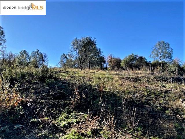 17290 Anderson St & Hwy 120, Big Oak Flat CA 95305 — photo 31