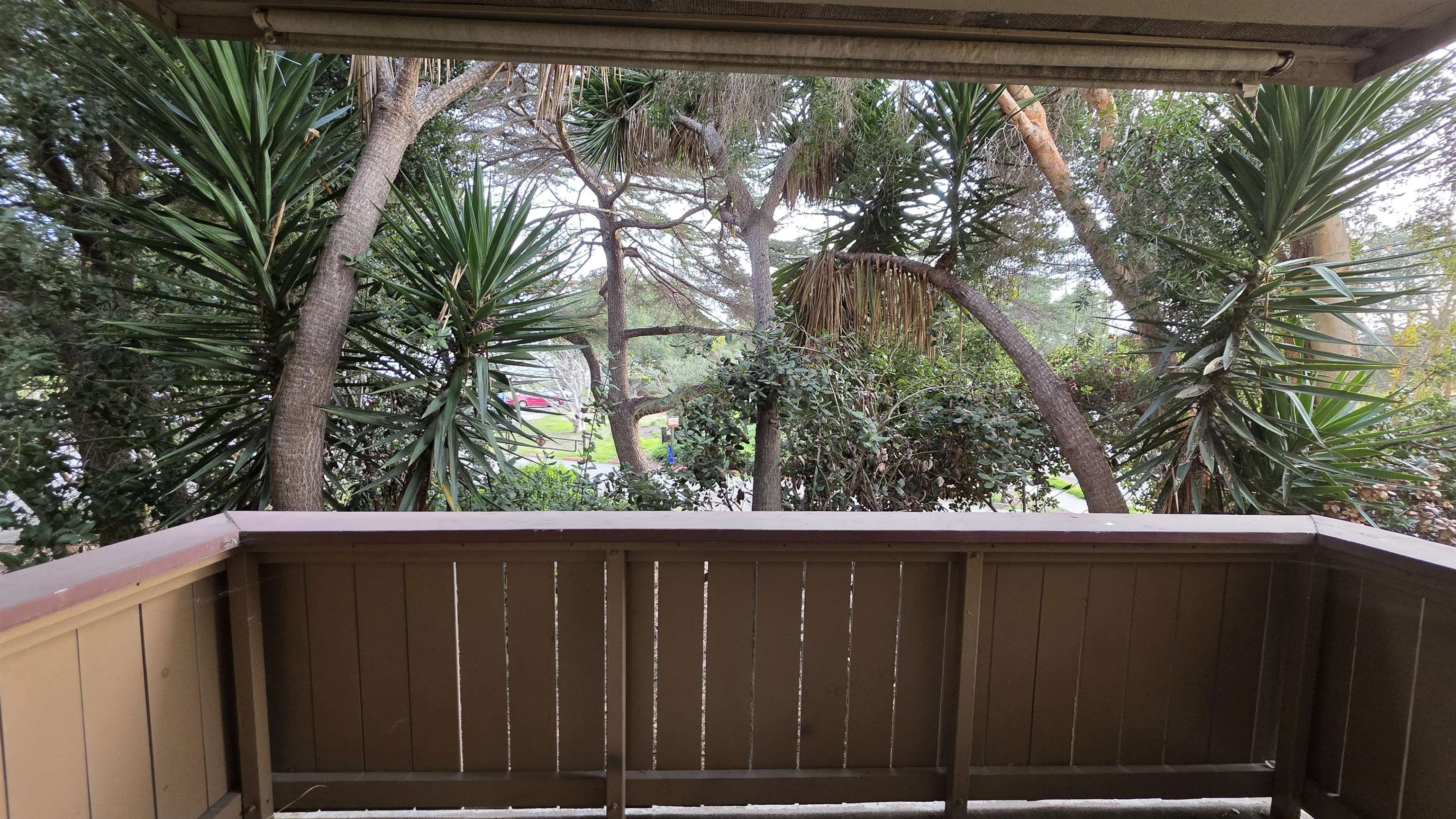 Photo #13: 41119473 Listing: Photo #13