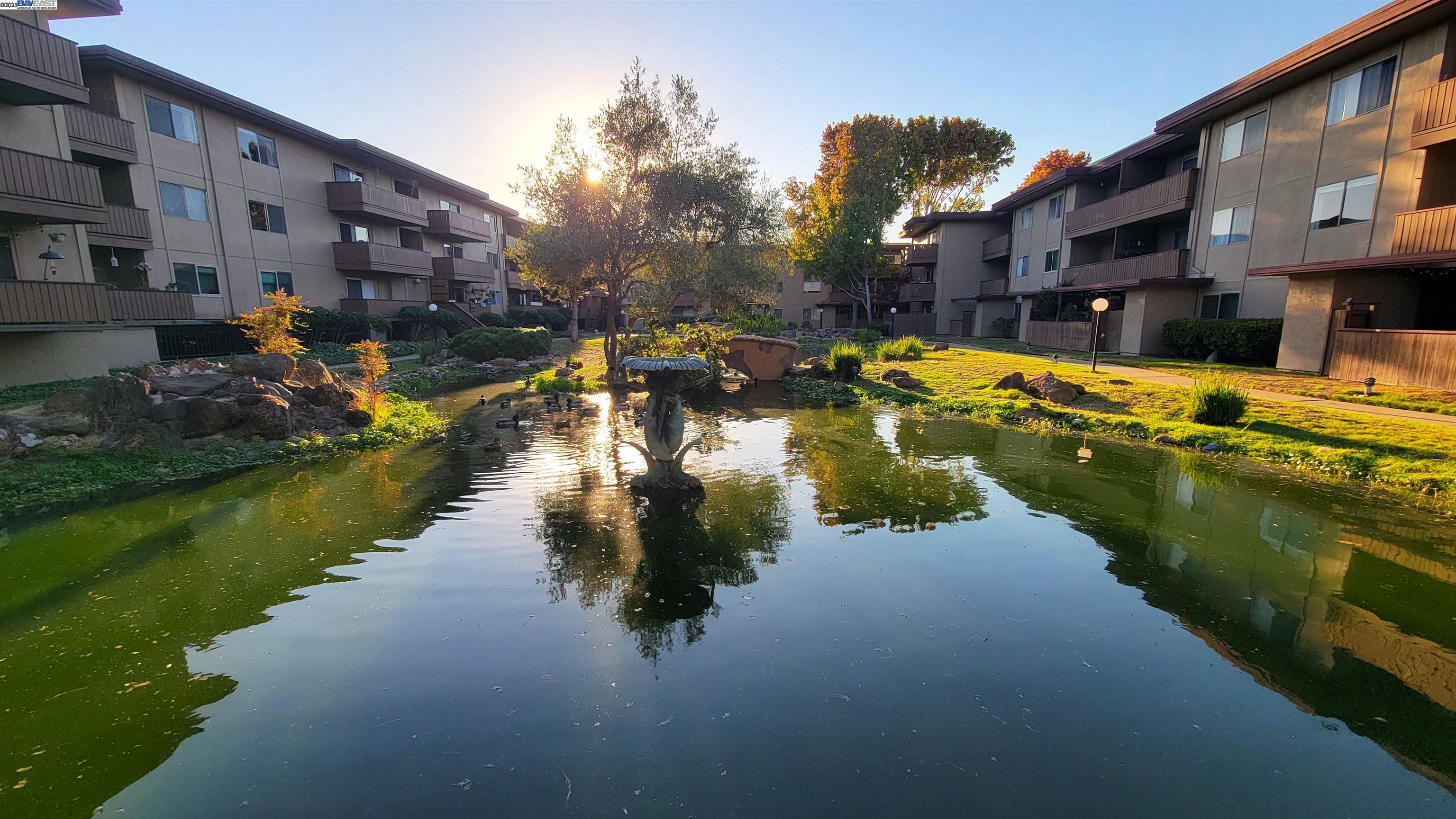 Photo #22: 41119473 Listing: Photo #22