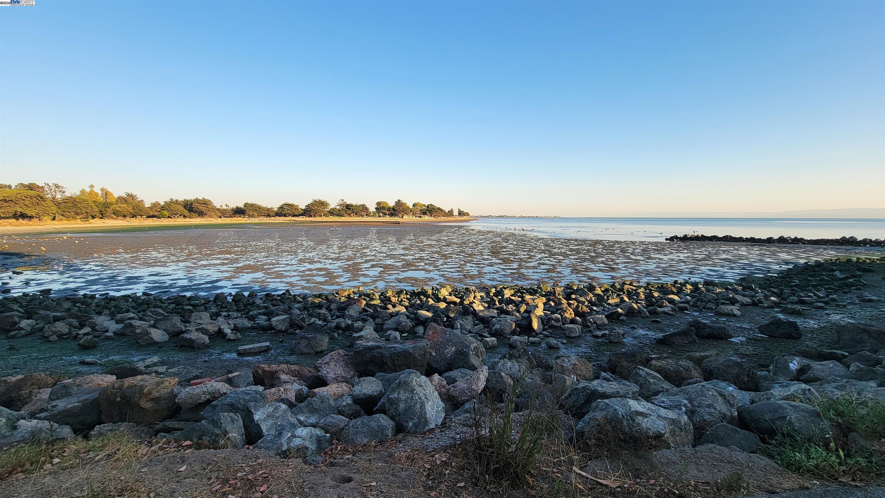 Photo #24: 41119473 Listing: Photo #24