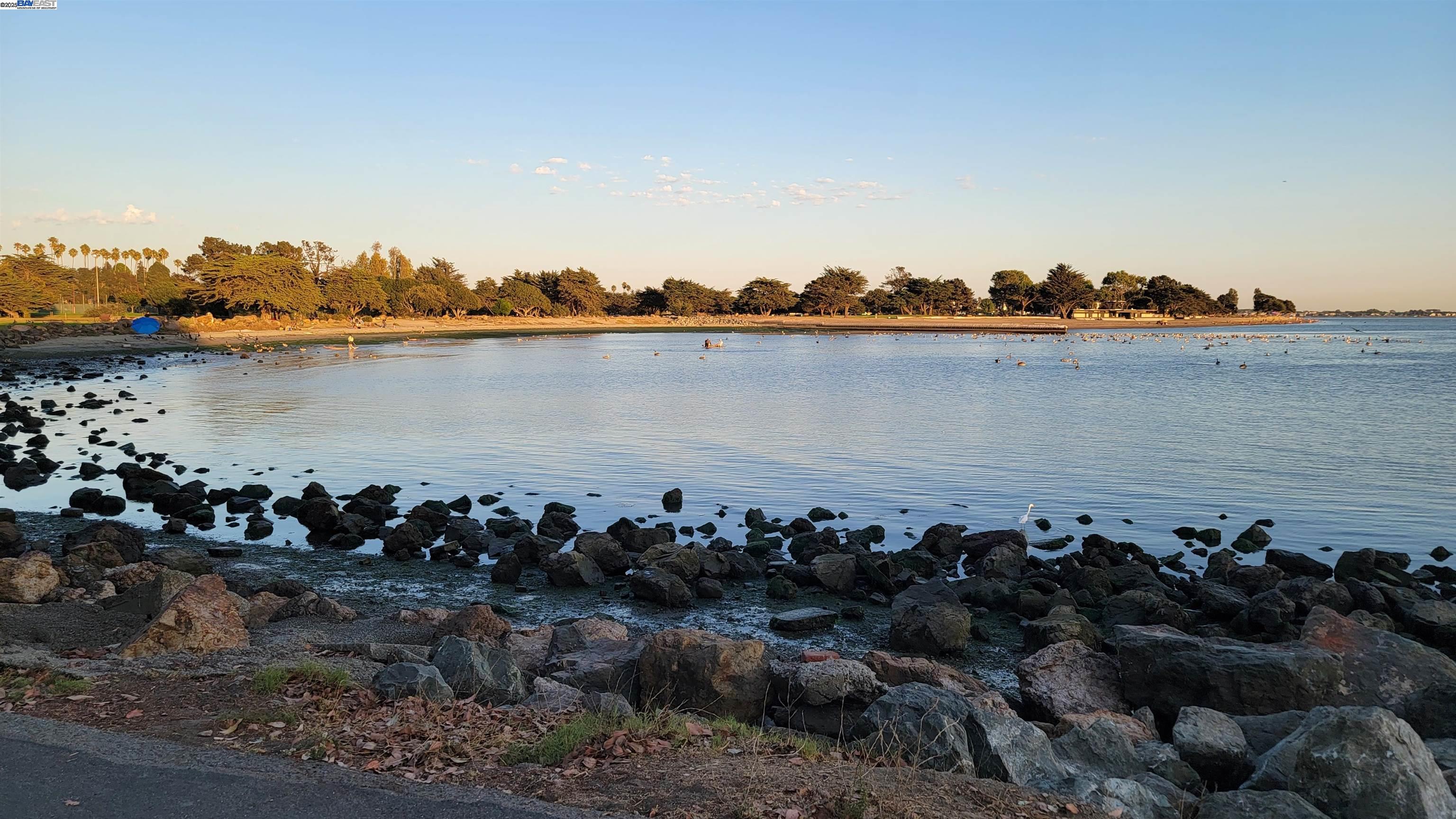 Photo #28: 41119473 Listing: Photo #28