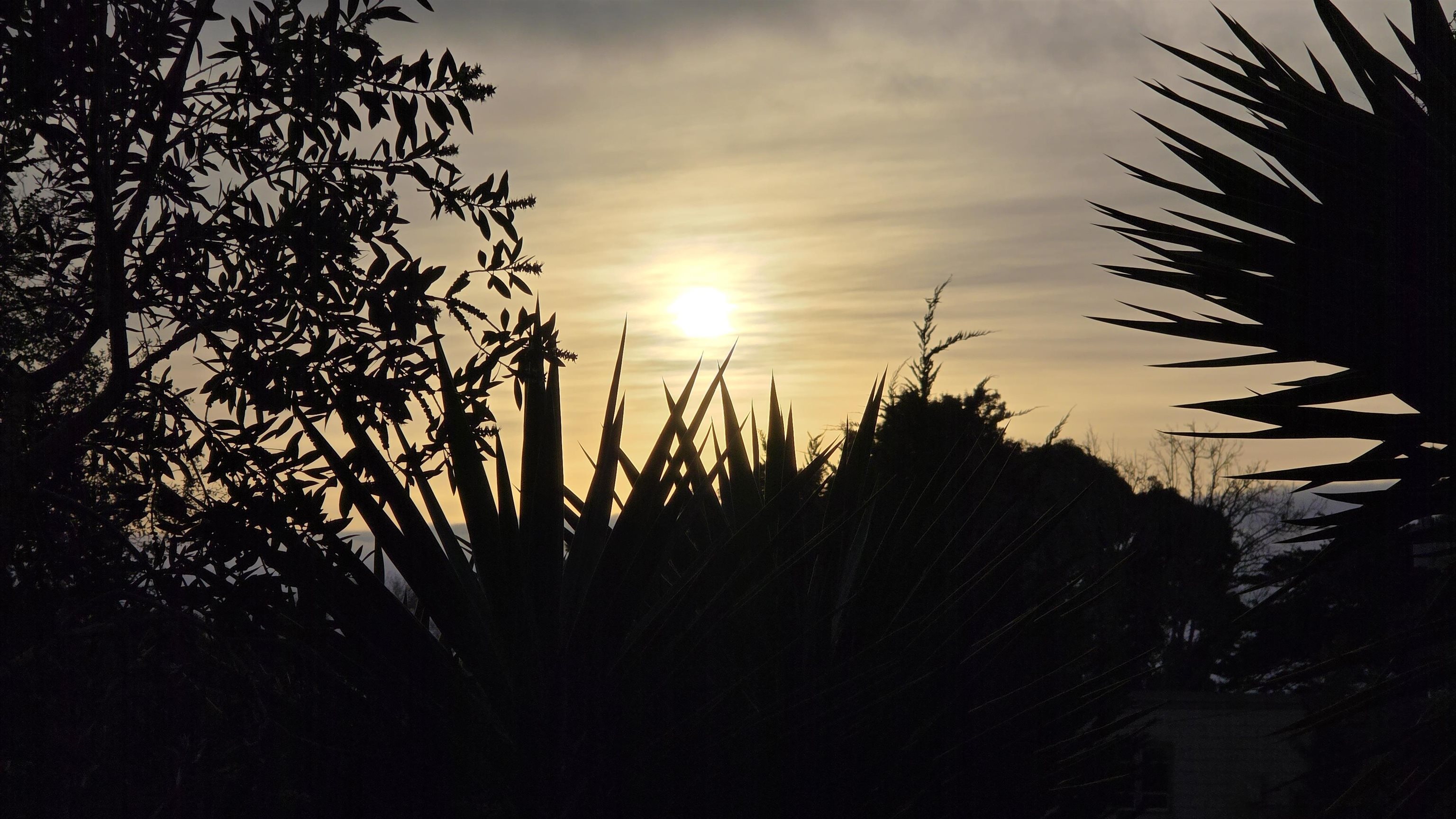 Photo #29: 41119473 Listing: Photo #29