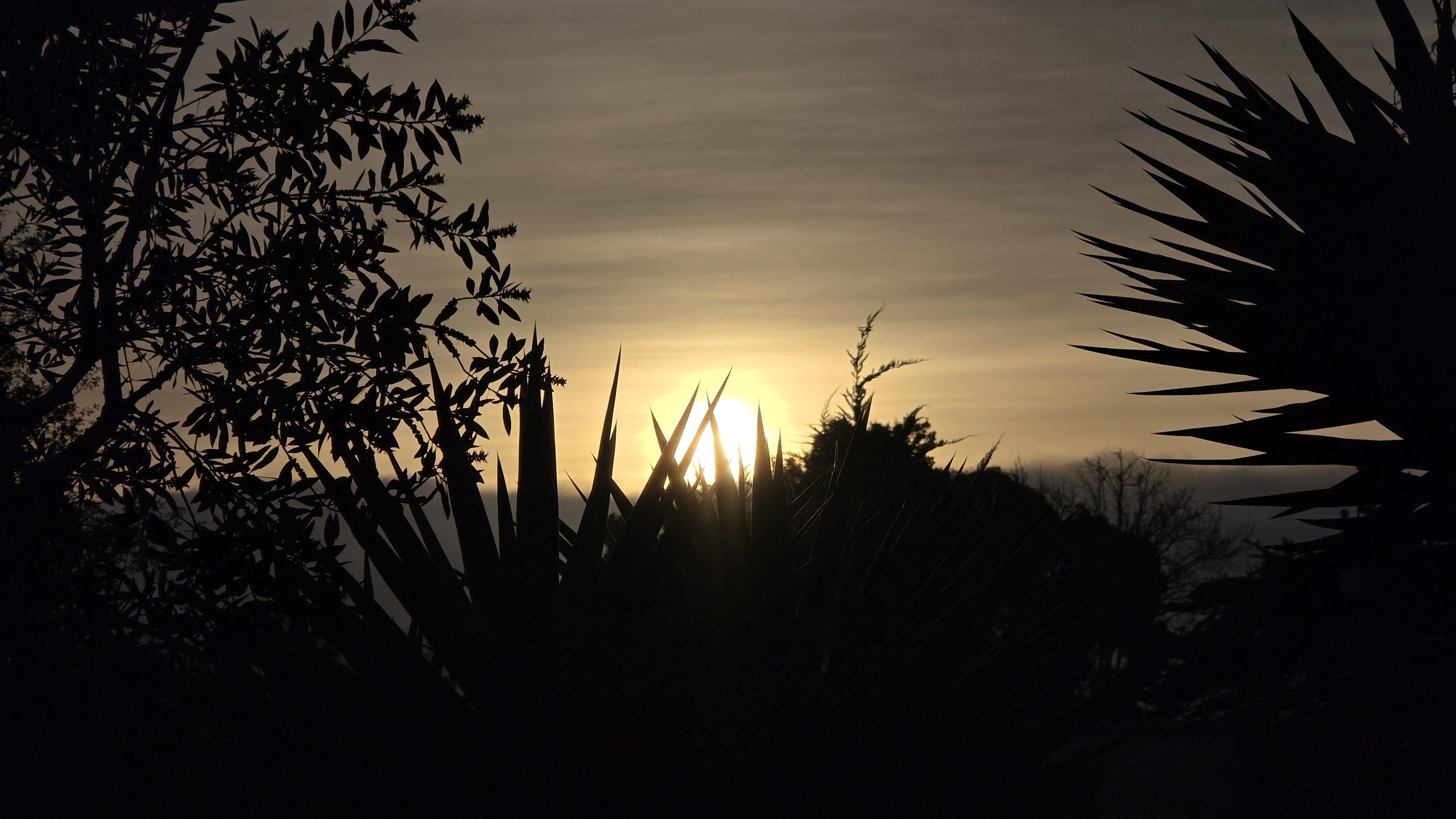 Photo #30: 41119473 Listing: Photo #30