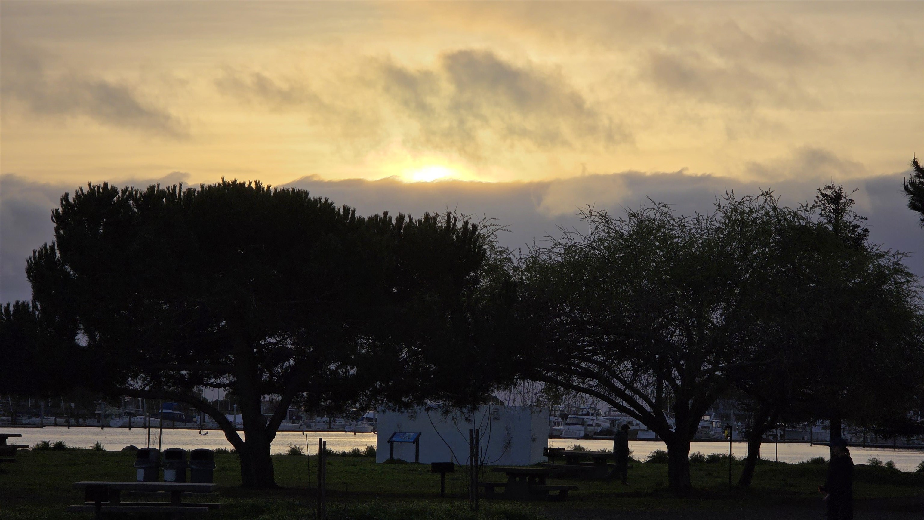 Photo #31: 41119473 Listing: Photo #31