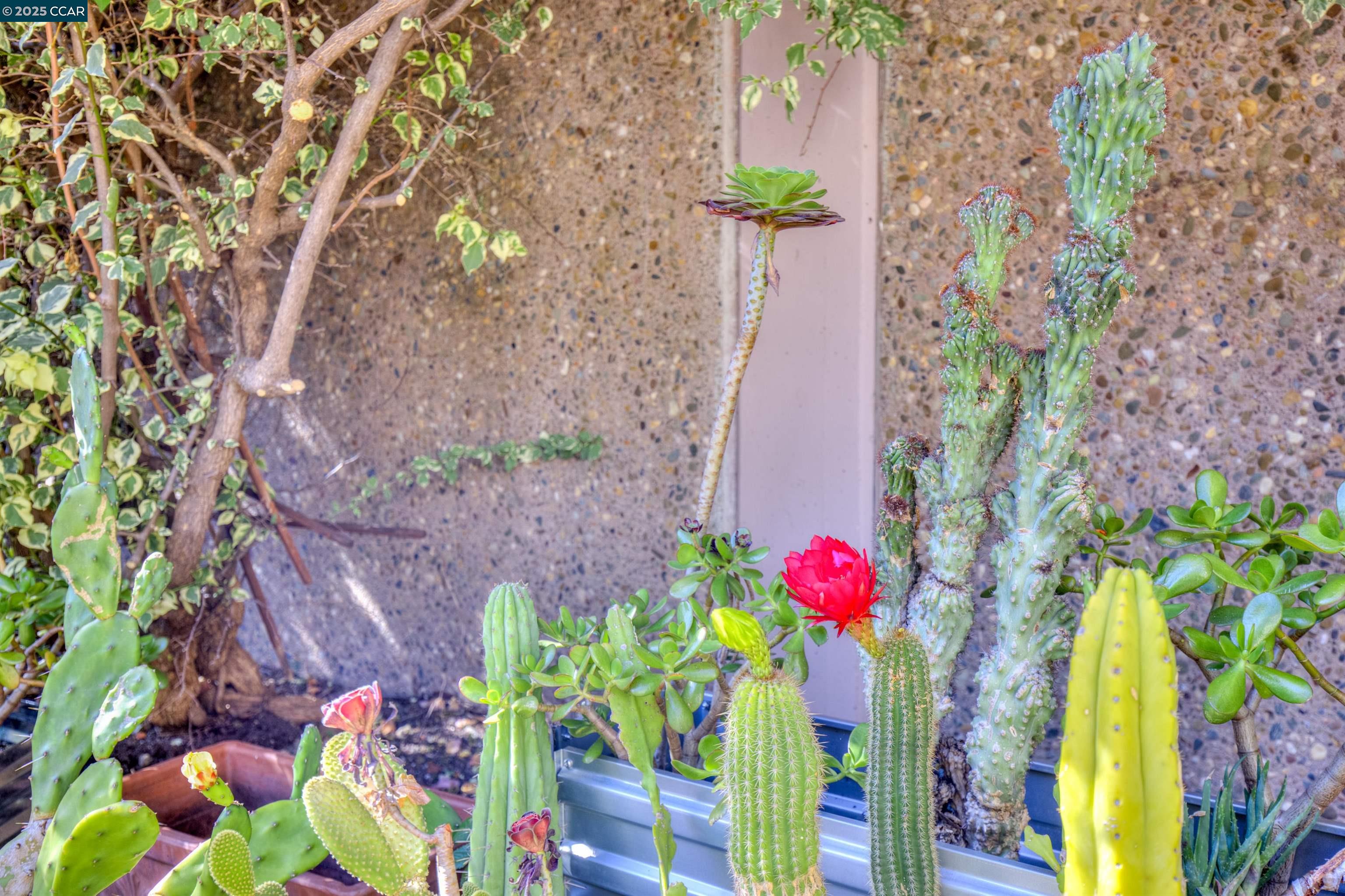 1679 Carmel Dr UNIT 1 and 2, Walnut Creek, CA, 94596