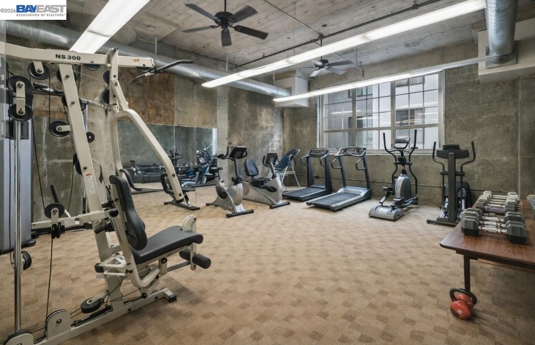 Photo #10: 41119604 Listing: Photo #10