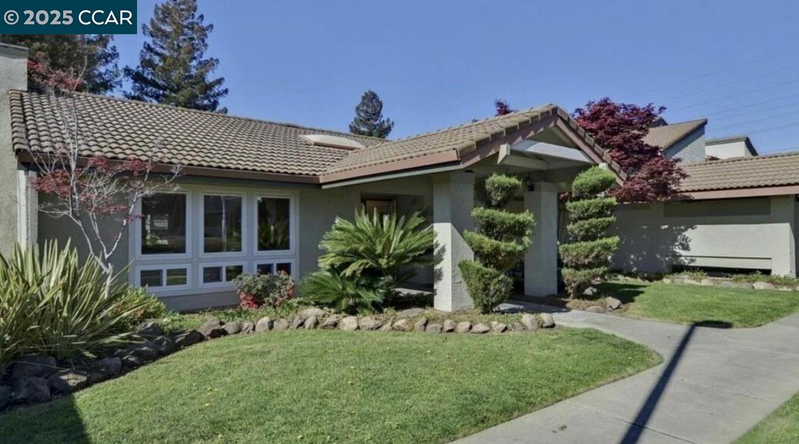 Front Image Thumbnail for CC41119618