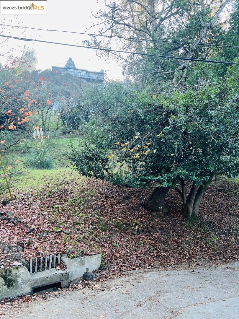 6622 Exeter DR, Oakland CA 94611 — photo 6