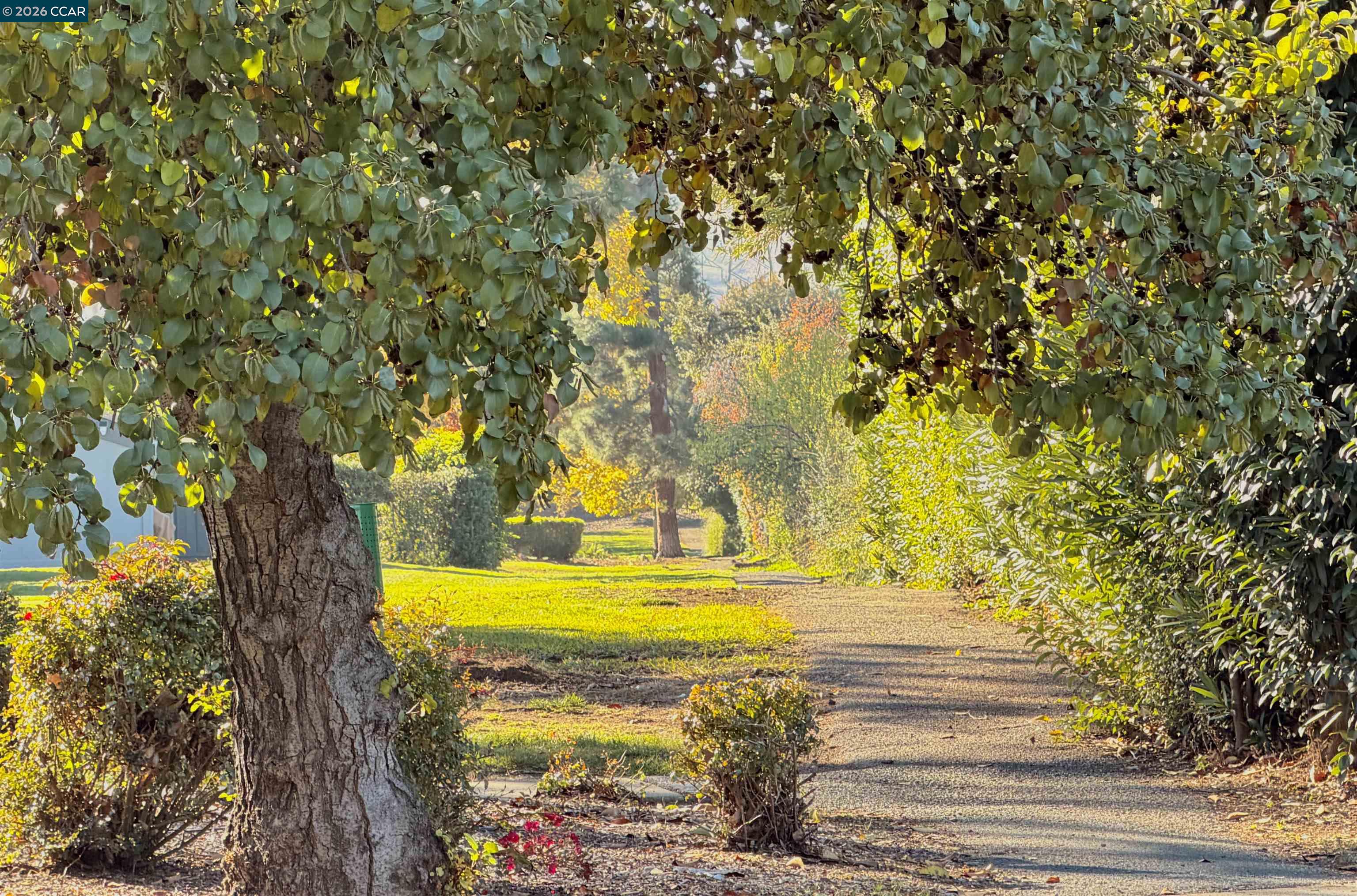 5333 Park Highlands Blvd UNIT 27, Concord, CA, 94521