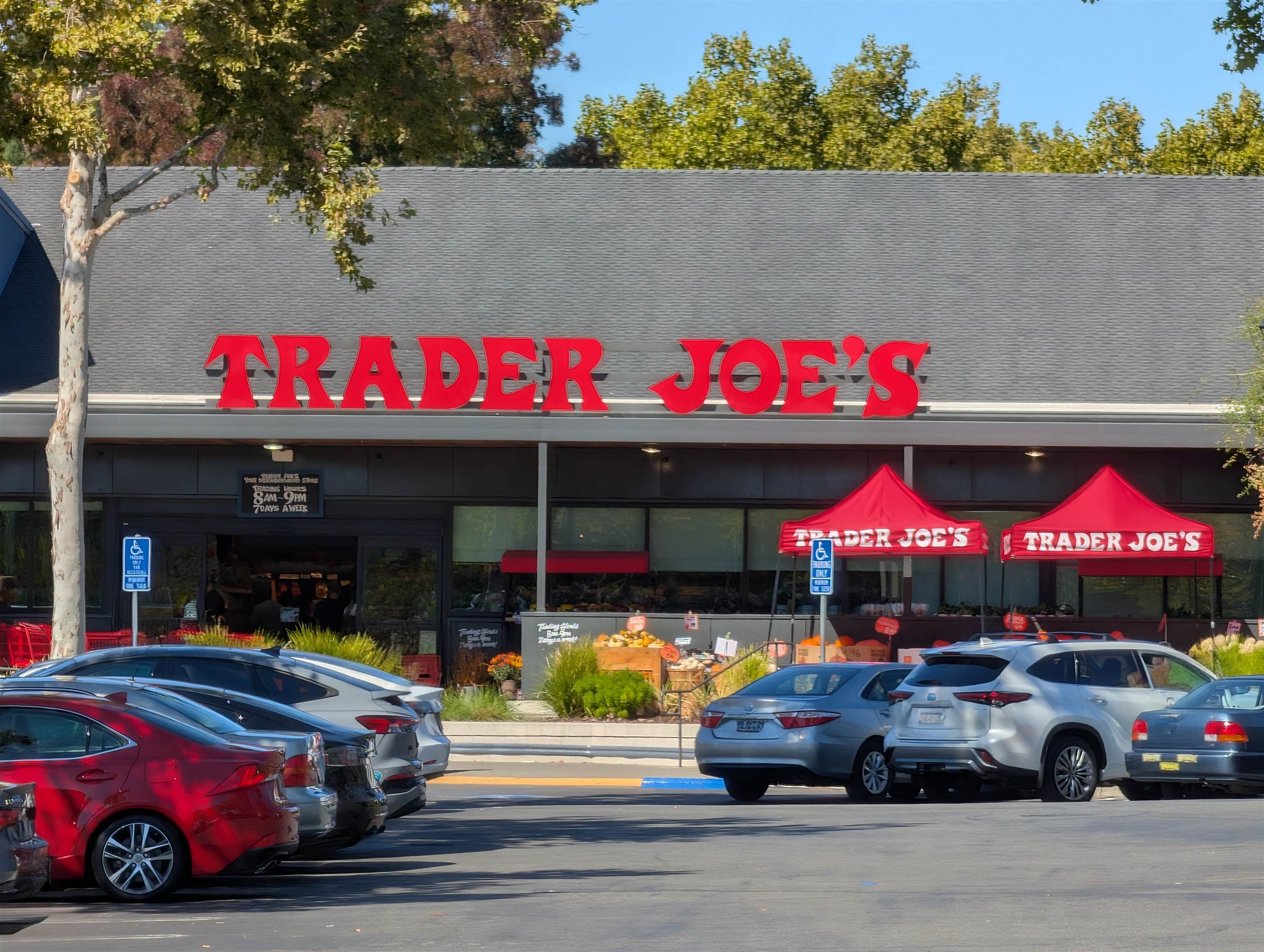 Photo #34: 41119847 Listing: Photo #34