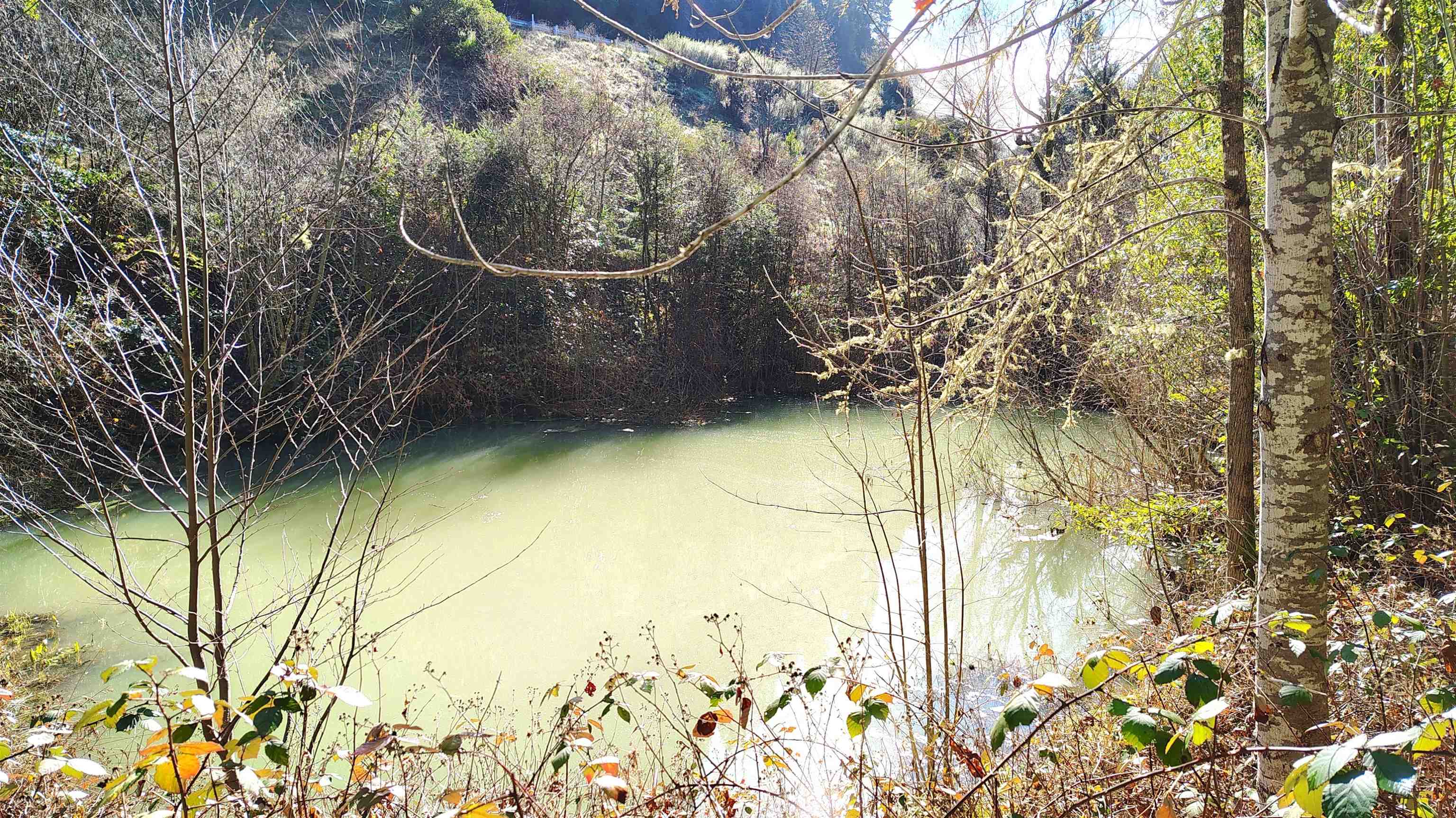 Detail Gallery Image 21 of 22 For 28440 Ryan Creek Rd, Willits,  CA 95490 - 3 Beds | 1 Baths