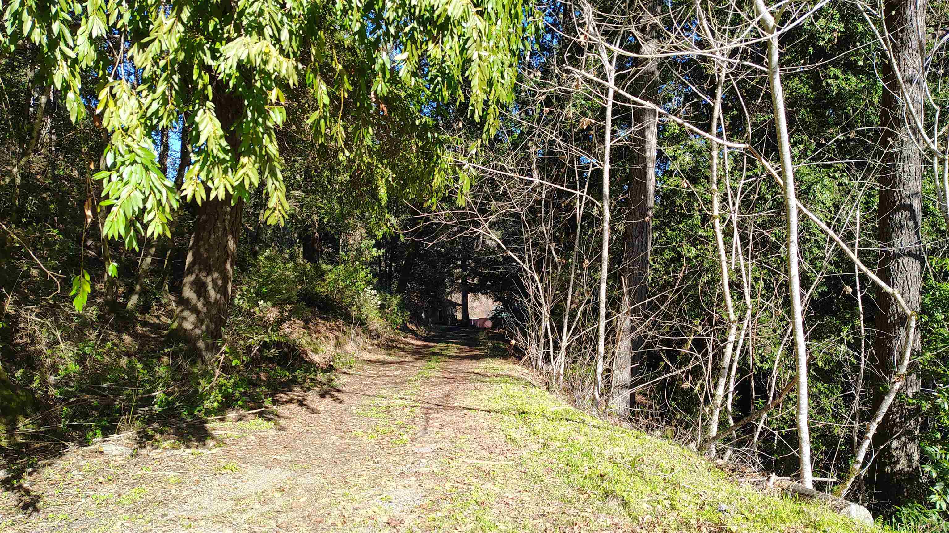 Detail Gallery Image 22 of 22 For 28440 Ryan Creek Rd, Willits,  CA 95490 - 3 Beds | 1 Baths